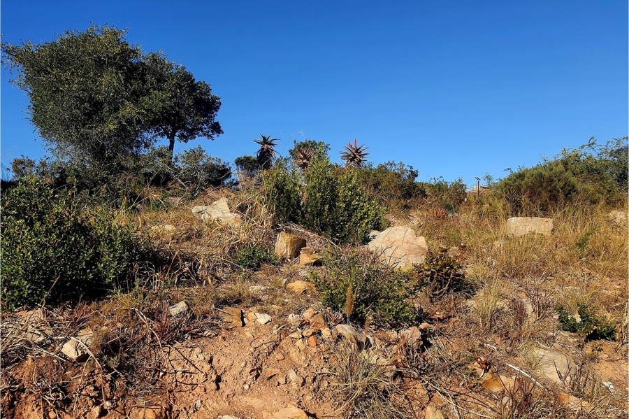 0 Bedroom Property for Sale in De Bakke Western Cape
